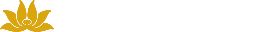 Vnairlines logo white with icon color