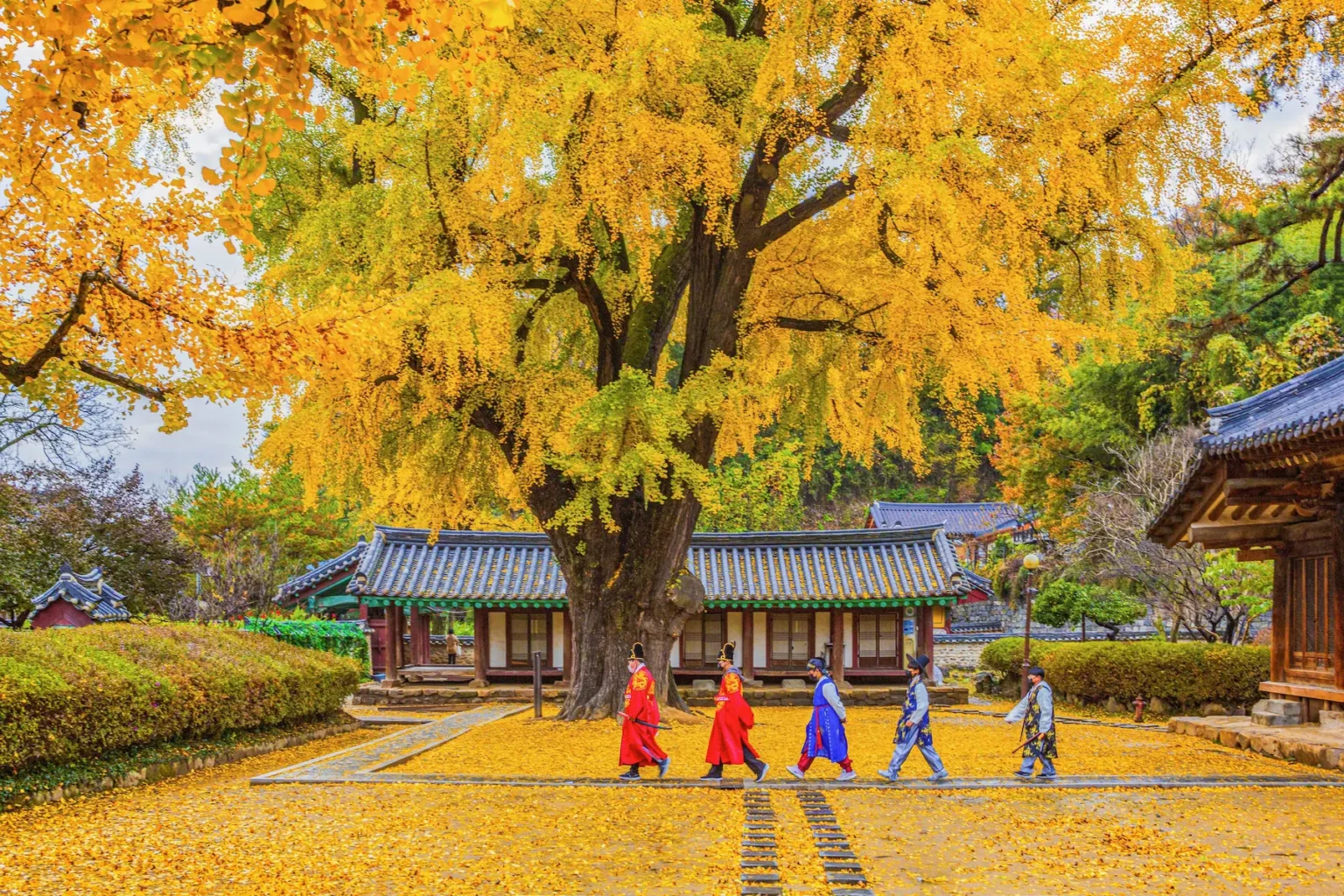 Discover round korea